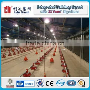 105x12x2.8m Light Steel Structural Chicken House in Algeria thumbnail-5