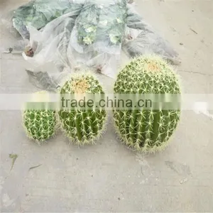 SJM091022 Guangzhou Wholesale Decoration Artificial Cactus P.E Hoodia Gordonii thumbnail-1