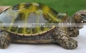 Antique Look Turtle Statue for Home Decoration thumbnail-1