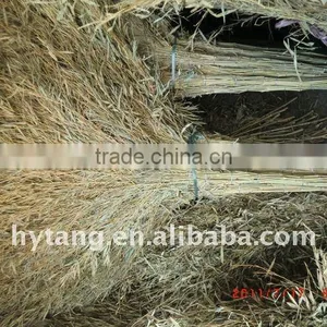 Big Bamboo Broom thumbnail-1