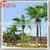 Artificial Big Coconut Palm Trees,cheap Large Fake Trees thumbnail-6