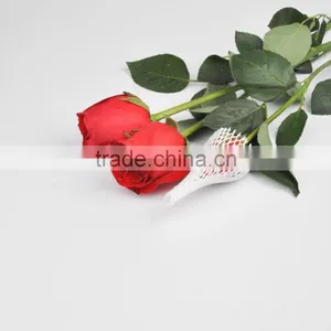 PE Plastic Protection Sleeve Packing Net for Flower Bud thumbnail-5