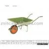 WB1500 Wheel Barrow thumbnail-1