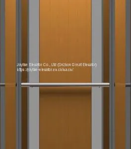 Home Elevator - Joylive Elevator Co., Ltd. thumbnail-4
