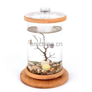 Desktop Eco Bottle Creative Office Tempered Glass Micro Landscape Tank Rotating Bedroom Fish Tank Fish Tank Mini Small thumbnail-6
