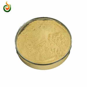 Chitosan Oligosaccharides Are Known as New thumbnail-1