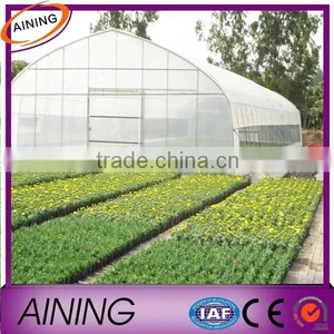 Professional Factory Greenhouse Plastic Film, PE Greenhouse Plastic Quality Choice thumbnail-6