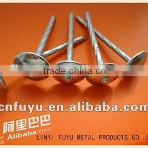 Umbrella Roofing Nails for You thumbnail-1