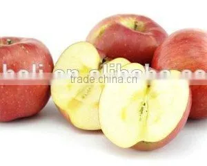 Fresh Shandong Fuji Apple With Lowest Price thumbnail-6