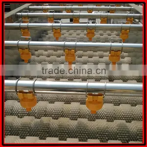 Automatic Brush Date Cleaning Machine|Ginger Washer and Cleaner Machine thumbnail-4