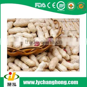 Roasted Peanut in Shell Good Taste 11/13 Nature Flavor thumbnail-1