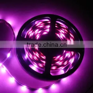 China Manufacturer OEM 5050 Led Strip Light thumbnail-1