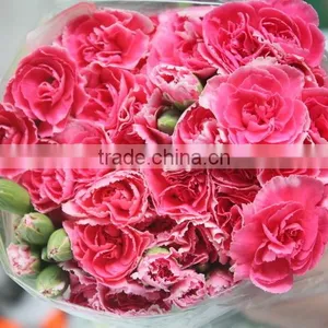 Good Smell Hot Sale Fresh Cut Carnations and Roses thumbnail-1