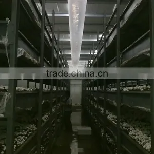 Mushroom CULTIVATION CLOTH/nursery Bed for Mushroom Greenhouse Growing thumbnail-1