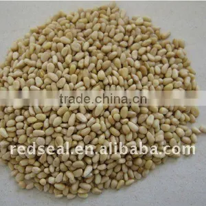 New Crop Chinese Pine Nut Kernels thumbnail-1