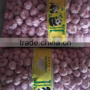 Fresh Garlic thumbnail-2