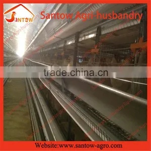 Stable Chicken Egg Layer Cage Automatic Poultry Equipment thumbnail-3