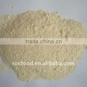 AD Garlic Powder thumbnail-1