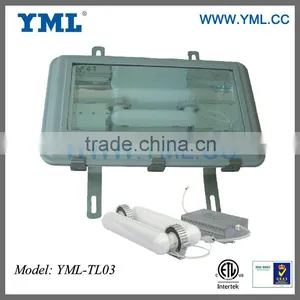 UL, ETL,CE,ROHS High Power Induction Tunnel Bulb Light Tunnel Polycarbonate thumbnail-1