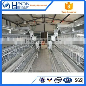 Popular Selling Layer Cage Chicken Cage Layer Cages for Sale thumbnail-5