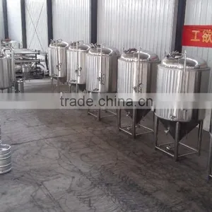 High Configuration 600L Mini Beer Brewing Equipment For Beer Making thumbnail-3