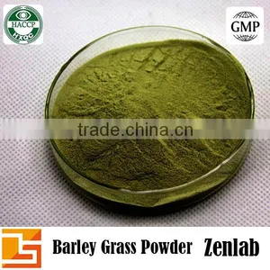 GMP Factory Natural Organic Barley Grass P.E. thumbnail-4