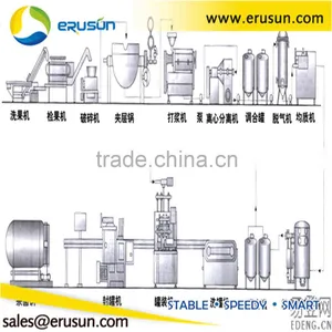 Complete Beverage Filling Machine / Fruit Juice Production Line thumbnail-6