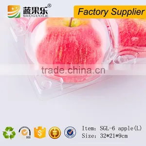 6 Loaded Clear Plastic Packing Box for Orange/apple thumbnail-6