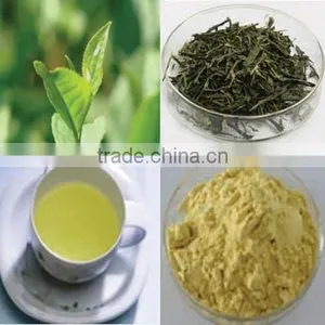 Instant Green Tea Powder,100% Soluble in Room Temperature Water thumbnail-1