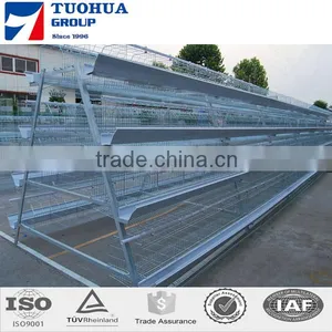 A Type Egg Chicken Layer Cages,layer Poultry Cages thumbnail-4