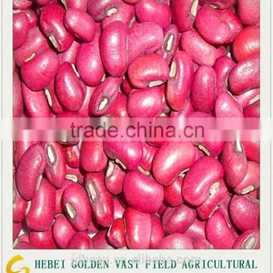Crop 2015 New Crop Red Cowpea Beans thumbnail-1