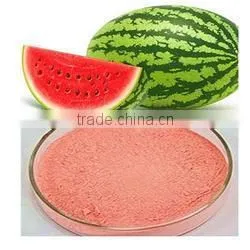 Spray Dried Watermelon Powder thumbnail-1