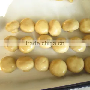Canned Mushroom Whole thumbnail-6
