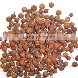 Dried Crataegus Fruit thumbnail-1