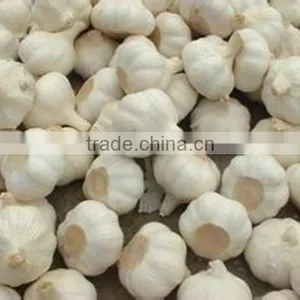 Bulk Spices of Chines Garlic thumbnail-2