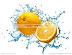 Vegetable and Fruit Apple Washer Dryer Spray Washing Machine thumbnail-5