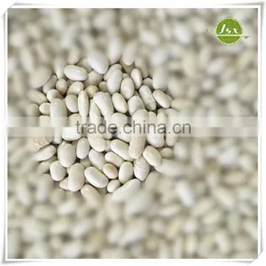 JSX Long Shape White Kidney Beans Food Trade Export thumbnail-6
