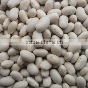 White Kidney Bean thumbnail-1
