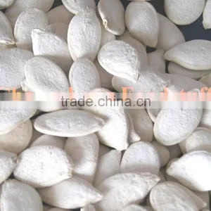 Roasted and Salted Snow White Pumpkin Seeds thumbnail-4