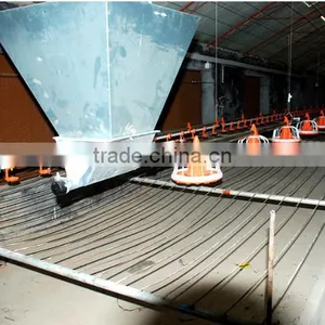 Automatic Poultry Feeding System/Auger Feed System For Poultry thumbnail-3