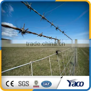 Beautiful Surface Treatment Galvanized Barbed Wire For Fencing thumbnail-4