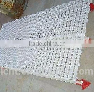 Chicken Plastic Floor thumbnail-5