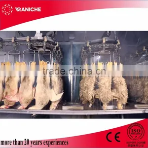 CE Norms Certification 3000BPH Poultry Processing Equipment Plant thumbnail-1