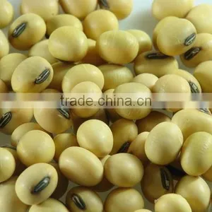 FS1000Y-1 High Speed Grain Sorting Machine 1000g thumbnail-4