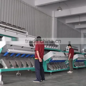 Dehydrated Garlic Accurate Optical Belt Color Sorter Machine With Advanced Software thumbnail-3