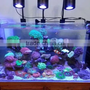 Custom Logos Reef Full Spectrum Aquarium Led Lighting Systems for Wholesales thumbnail-2
