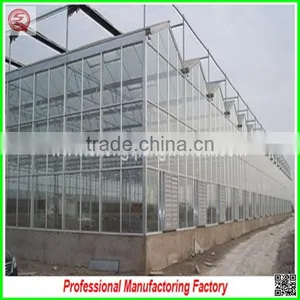 Agriculture Farm 8.0m Multi-span Commercial Glass House Garden for Sale thumbnail-4
