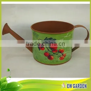 Artistic Modern Excellent Design Watering Can Shape African Flower Pots thumbnail-2