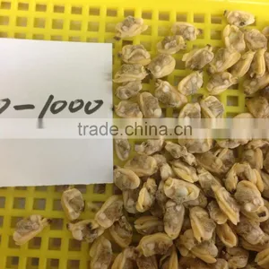 High Quality Frozen Short Necked Clam Meat thumbnail-5
