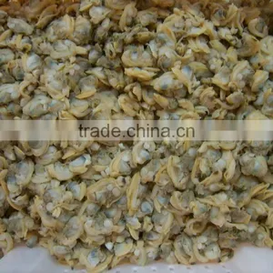 Tasty and Delicious Best Frozen Baby Clam Without Shell Iqf thumbnail-4